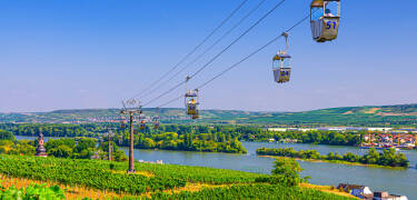 Uanset om det er en slentretur gennem Drosselgasse eller en gondoltur over Rhinen, er der masser at se her.