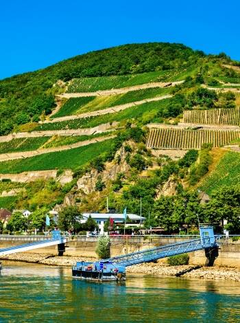 Den schönsten Blick auf die Weinberge, Burgen und Schlösser haben Sie von einem der vielen Ausflugsschiffe aus.