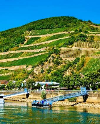 You'll find the best views of the vineyards, castles, and palaces from one of the many excursion boats.