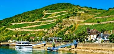 Den schönsten Blick auf die Weinberge, Burgen und Schlösser haben Sie von einem der vielen Ausflugsschiffe aus.