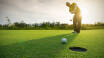 Utmana ressällskapet på golfklubben 'Golf Club Paradiso del Garda'.