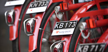 The hotel is close to great nature experiences and you can borrow bikes at the hotel to get around the area.