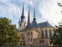 Udforsk den pragtfulde Notre Dame-katedral, kronen i den gamle bydel.