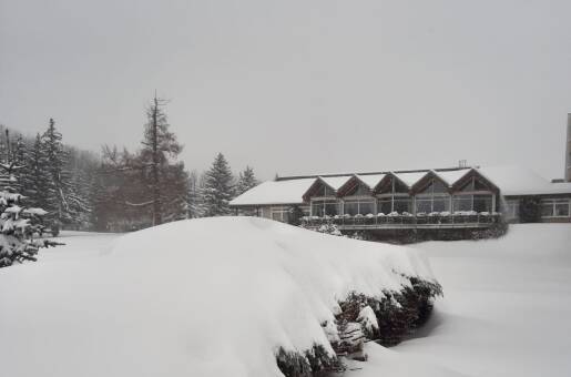 Harz Hotel Vogelberg