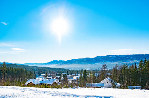 Stor-Elvdal Hotell