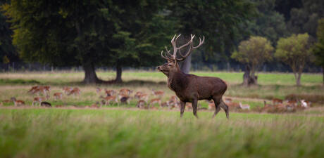 Point of Interest Image