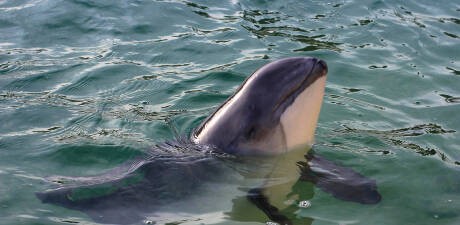 Point of Interest Image