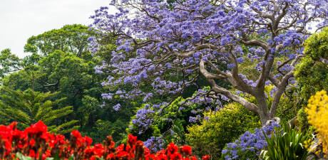 Point of Interest Image