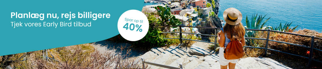 Early Bird destination image