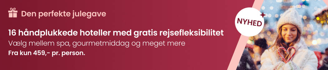 Den perfekte julegave destination image