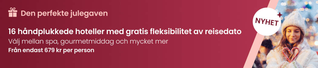 Den perfekte julegaven destination image