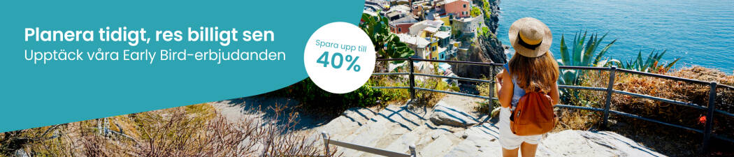 Early Bird hotellerbjudanden destination image
