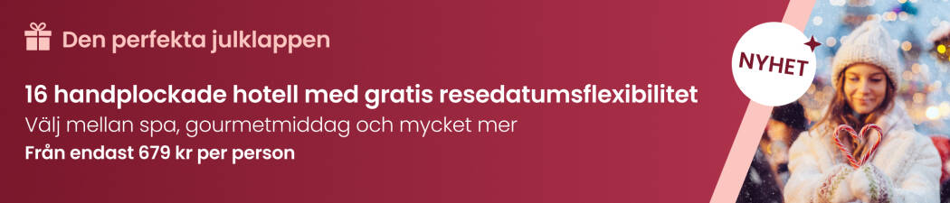 Den perfekta julklappen destination image